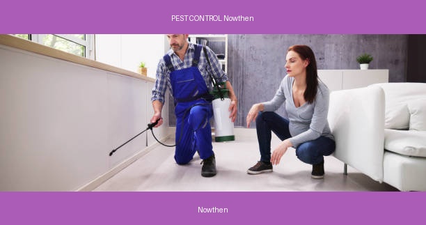 PEST CONTROL Nowthen